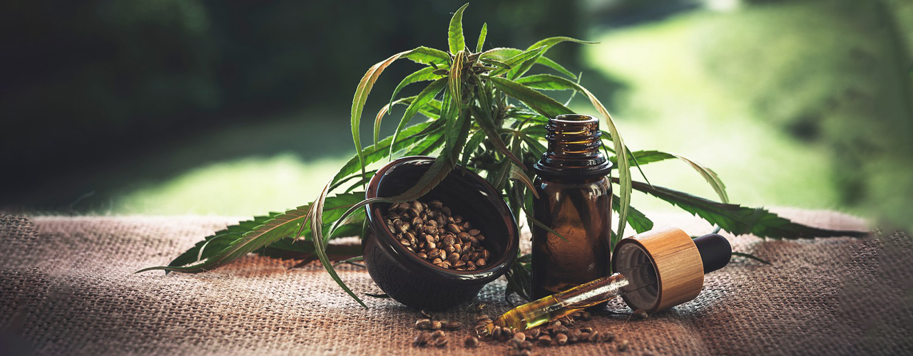 Tierarzt blu.beethoven