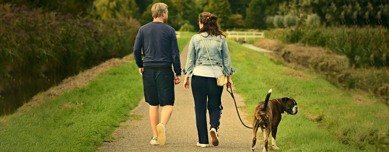 Tierarzt blu.beethoven