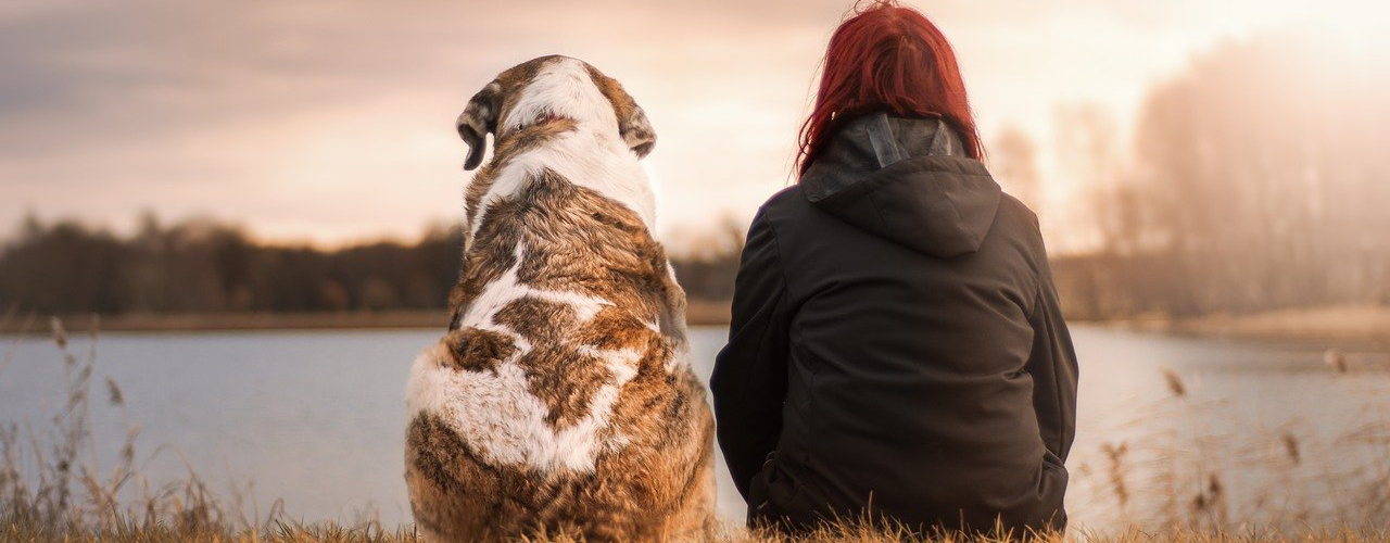 Tierarzt blu.beethoven